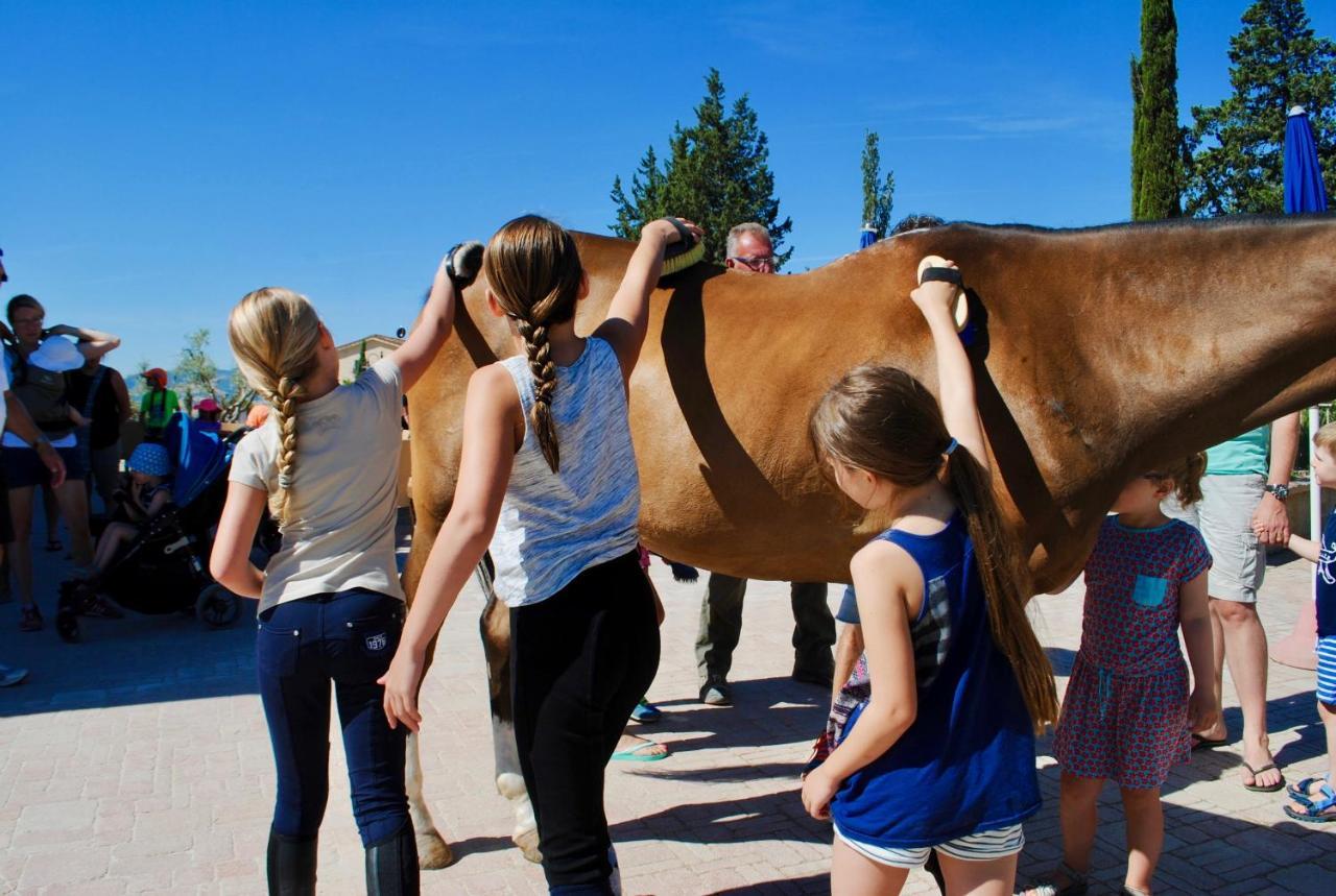 Vakantieboerderij Biologico Diacceroni Villamagna (Pisa)