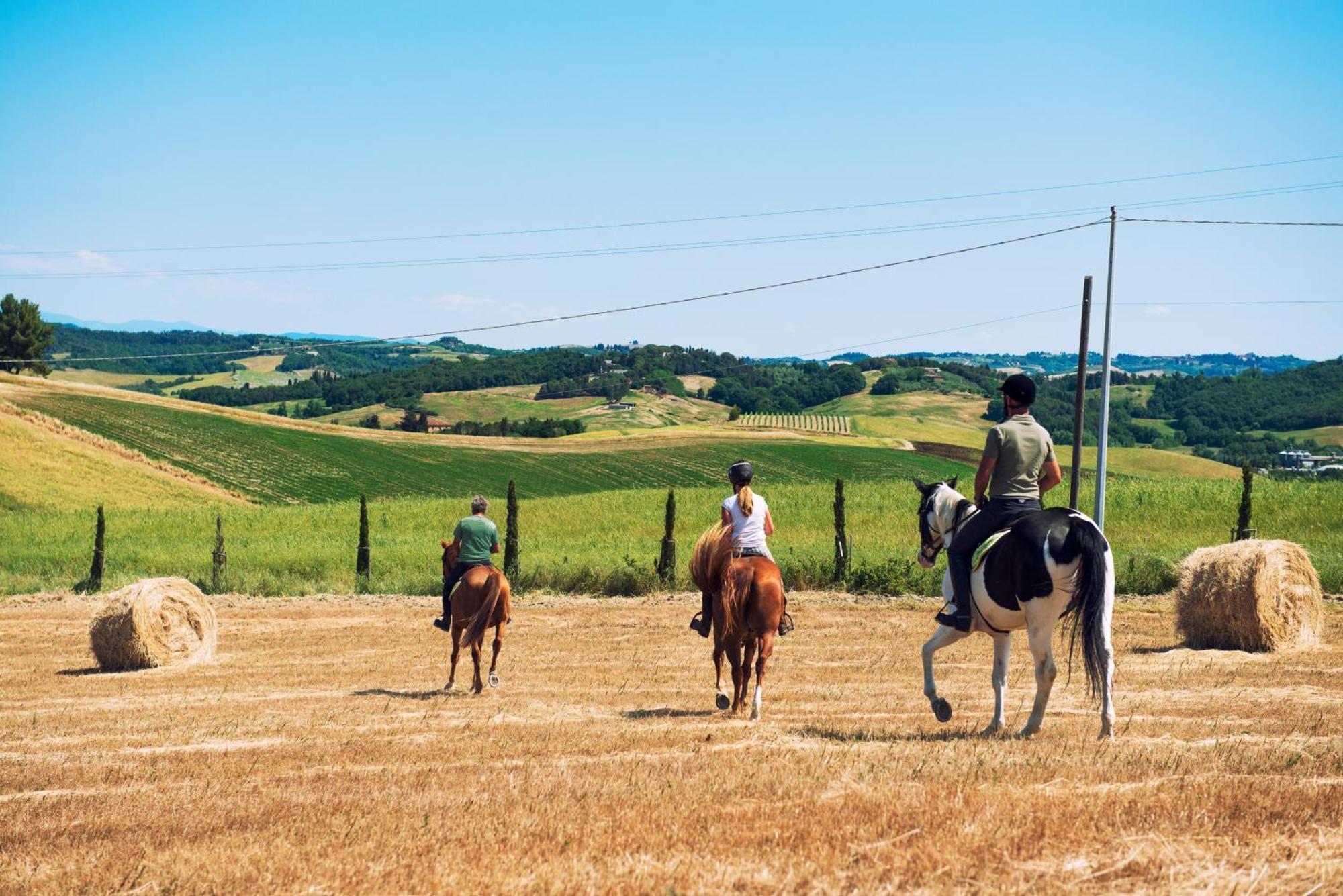 Biologico Diacceroni Farm stay *