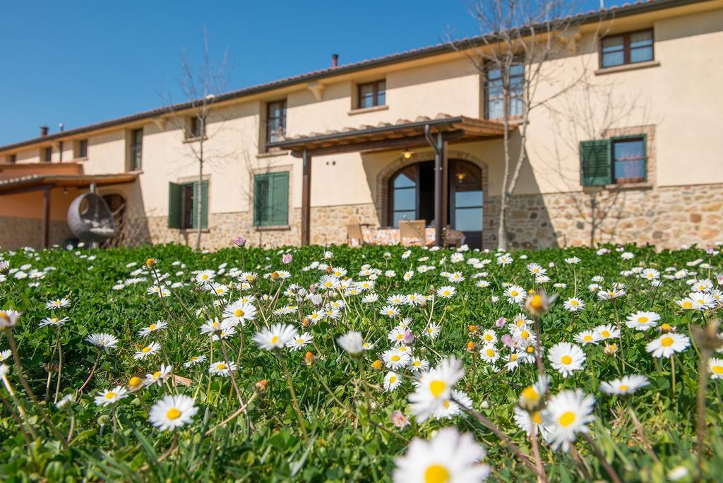 Biologico Diacceroni Farm stay Villamagna (Pisa)